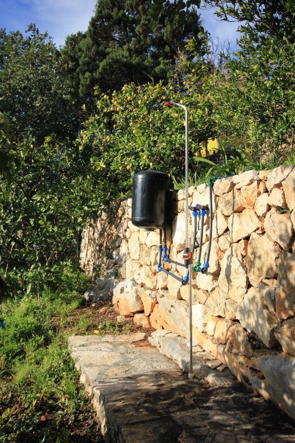 Apartments With A Parking Space Zavala, Hvar - 8912 מראה חיצוני תמונה