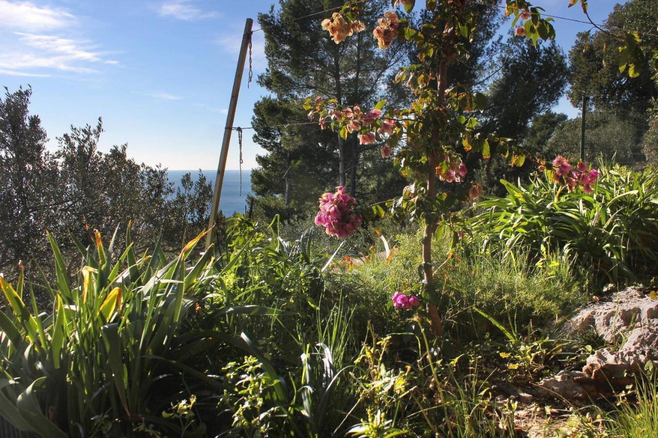 Apartments With A Parking Space Zavala, Hvar - 8912 מראה חיצוני תמונה